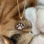 Paw Print Necklace Shown with Puppy Face