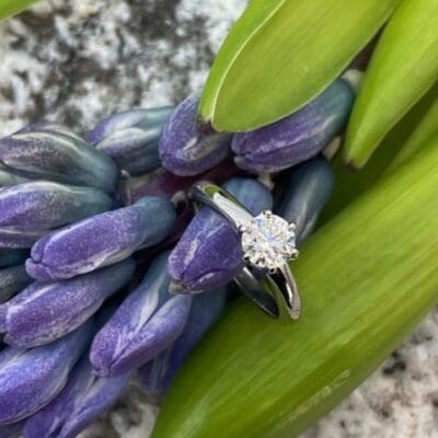 Coronet Diamond engagement ring with purple/blue flowers Platinum BG Social Media