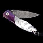 C19 Full Sail - Omni Collection