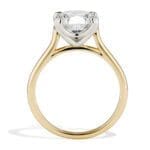 VIS-14Y/PT-R-2.72-D Viisi Engagement Ring in PLatinum and Gold