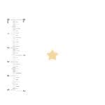 Star Stud Earrings 14k yellow gold