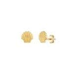 Seashell Stud earrings 14k yellow gold