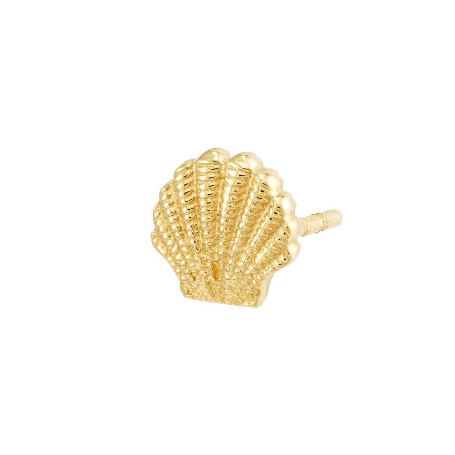 Seashell Stud earrings 14k yellow gold close up