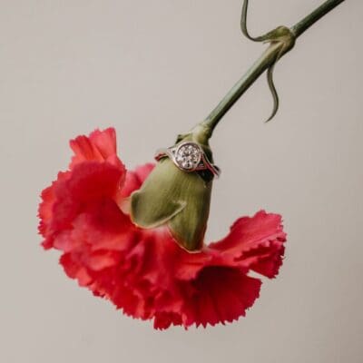Brown-Goldsmiths-Maine-Engagement-Ring-Jewelry-Ruby-Jean-Photography-49-683x1024