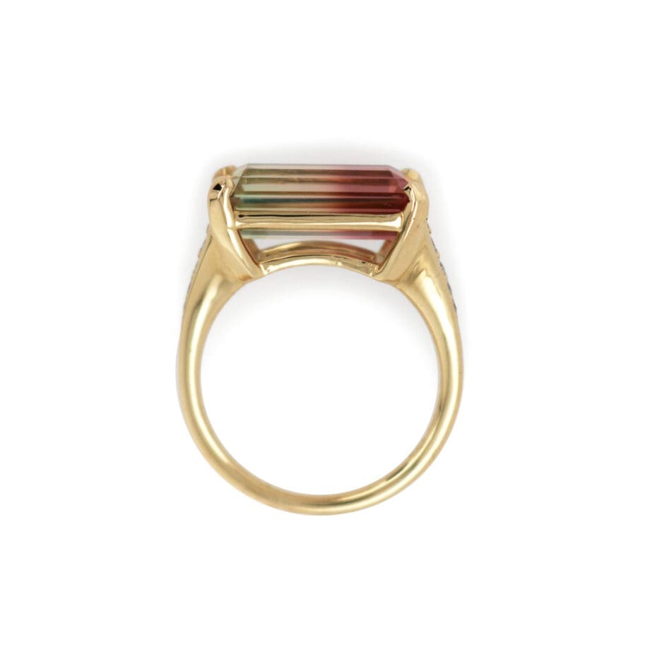 Watermelon New Horizon Ring with in Yellow Gold