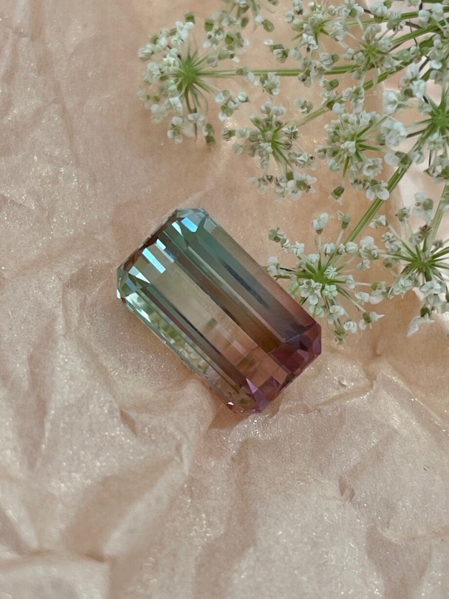 10.36ct Watermelon Tourmaline