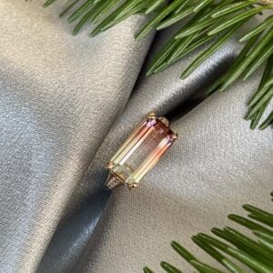 Watermelon Tourmaline New Horizon Ring 2