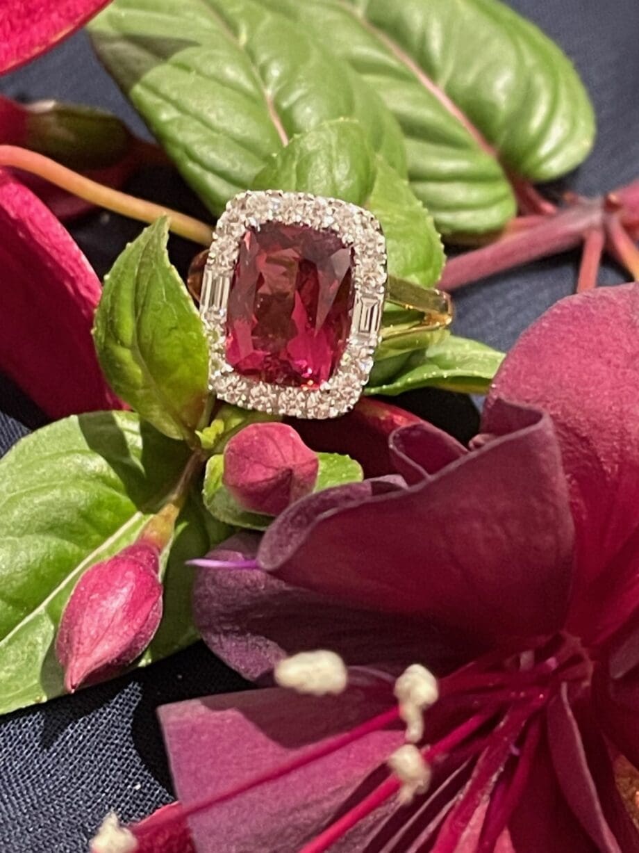 Elongated Rubellite Halo Ring