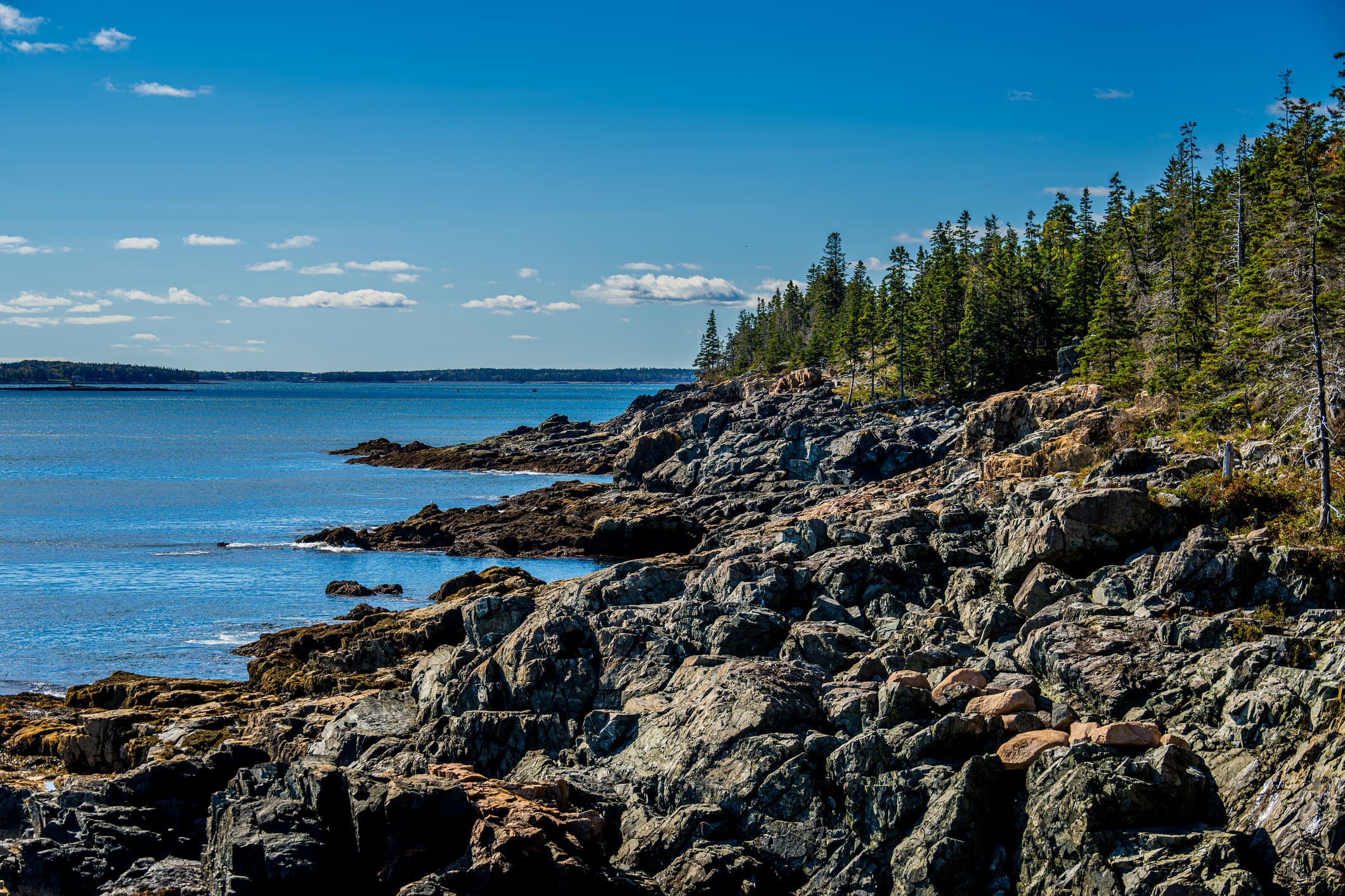 Rocky Coastline in Acadia National Park Made in Maine