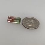 Bi-Color Tourmaline loose with dime for scale