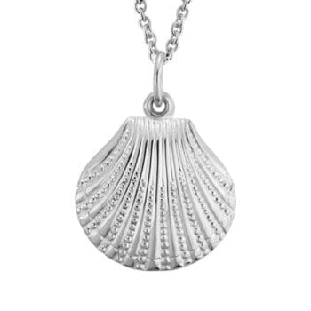 Seashell necklace with sterling silver cable chain, 16-18 inches