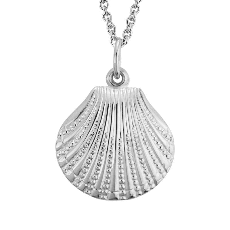 Delicate sterling silver seashell pendant on adjustable 16-18 inch cable chain necklace